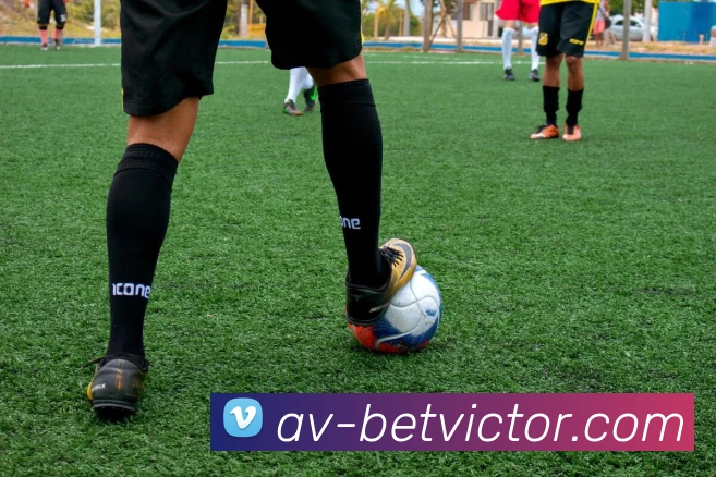 betvictor伟德官网服务体系